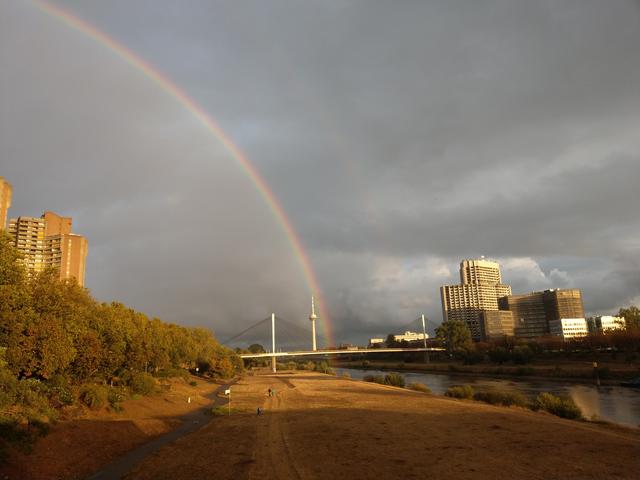 Der Schatz scheint im Luisenpark zu liegen. 😊   | Foto: BAS