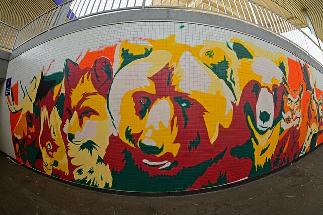 Foto: Ilona Schäfer