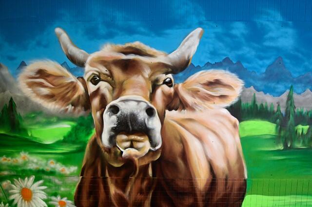 Foto: Ilona Schäfer