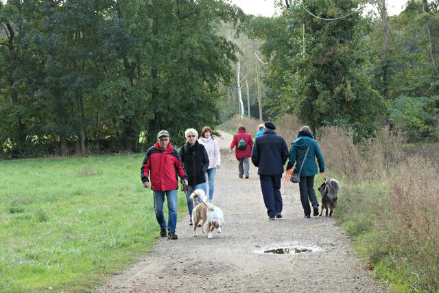 "Gassigeher" | Foto: Brigitte Melder