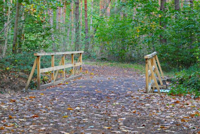 Rehbachbrücke | Foto: Brigitte Melder