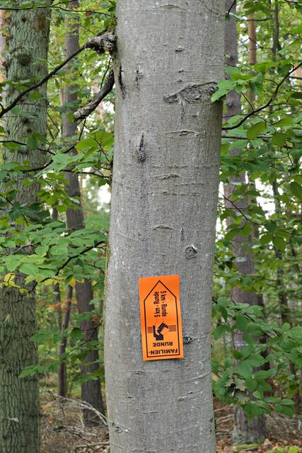 Nanu? Wer ist denn da hoch geklettert? ;-) | Foto: Brigitte Melder