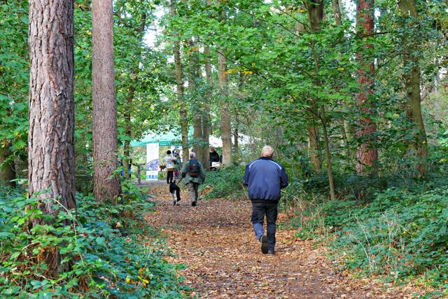 Ziel in Sicht | Foto: Brigitte Melder