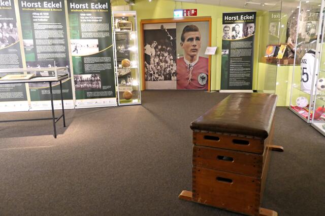 Sonderausstellung Horst Eckel | Foto: Brigitte Melder