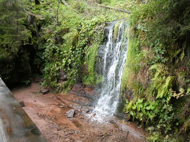 Sankenbachwassserfall vor der Staustufe, hier kann der Wanderer den
Wasserfall aufstauen um dann eine richtig große Wassermenge in den See stürzen zu lassen 