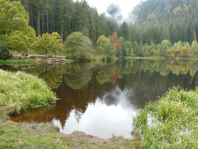 Herbstliche Idylle am Sankenbachsee