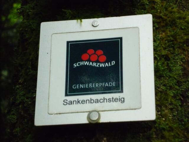 Heute wird auf dem Sankenbachsteig gewandert.