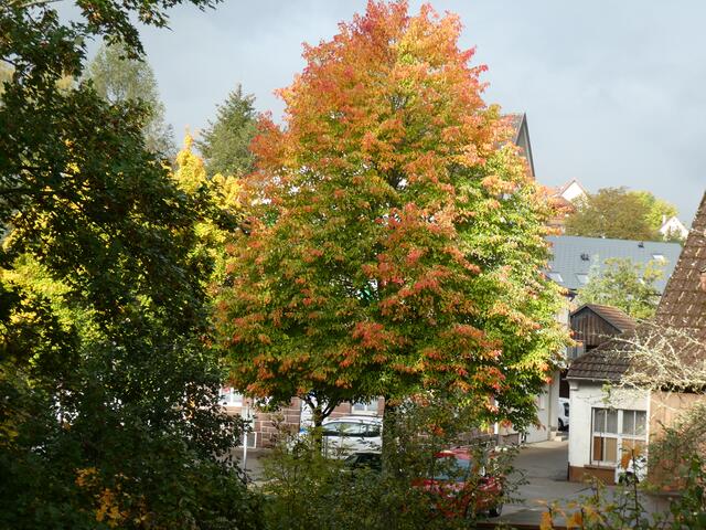 Ausblick von unserem Hotel