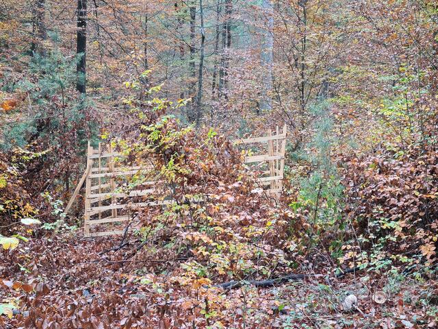 Im Pfälzerwald trifft man hin und wieder auf solche Einzäunungen, die verhindern sollen, dass junge Triebe durch Wildverbiss Schaden erleiden | Foto: Ralf Vester