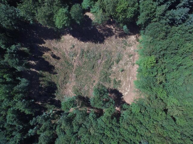 Die kahlen Stellen durch unvermeidbare Fichtenfällungen häufen sich auch im Herzen des Pfälzerwaldes | Foto: Klaus Platz