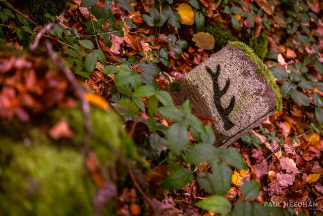 Foto: Paul Needham