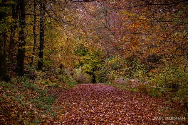 Foto: Paul Needham