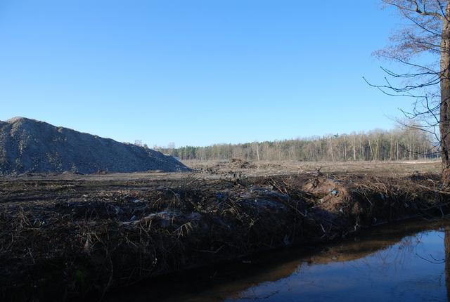 Am Ufer des Rehbaches hat die Planierraupe bereits Schäden hinterlassen. Foto: Pacher