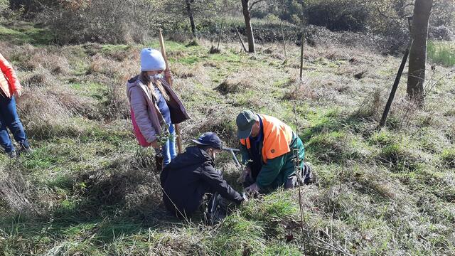 Gerhard Linke hilft derweil anderen Kindern beim pflanzen | Foto: Altschuck