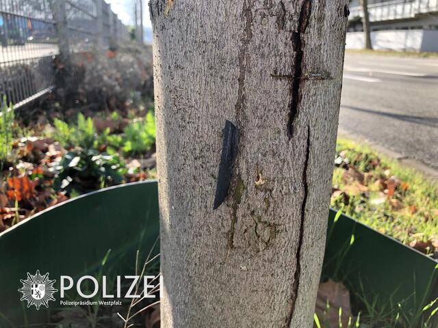 Foto: Polizeipräsidium Westpfalz