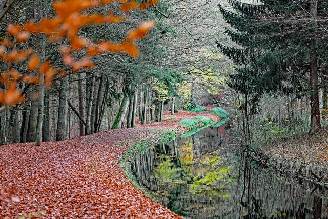 Mühlkanal bei Ettlingen
