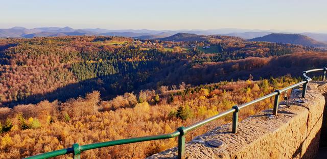 Blick vom Luitpoldturm über den Pfälzerwald im November  | Foto: Jens Vollmer
