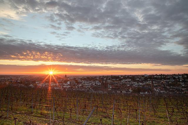 Immer wieder schön: Blick vom Sonnenweg auf Neustadt
Bild: privat/Georg Beck