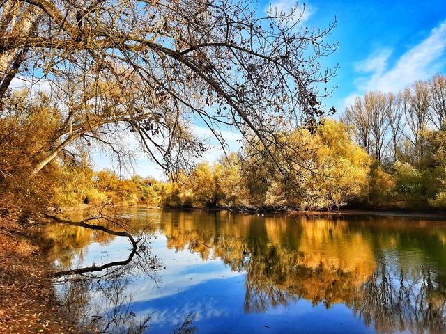 Unterwegs am Altrhein bei Lingenfeld  | Foto: Anita Lemmert 
