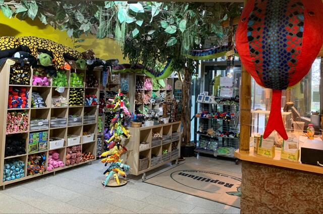 Verwaister Souvenirshop Reptilium | Foto: Reptiliumzoo
