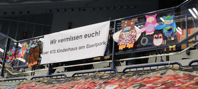 Die Kita-Kinder haben viele Eulen gebastelt. | Foto: Basaric-Steinhübl