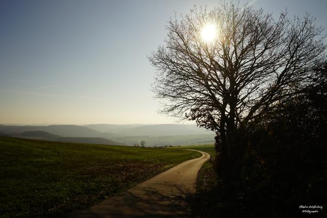 Novembersonne zwischen Schönborn und Dörnbach | Foto: Stephen Wüstenberg Photographie - Wartenberg-Rohrbach