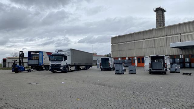 Hier werden die Fahrzeuge beladen. Auf der Ladungssicherheit liegt das besondere Augenmerk | Foto: Kim Rileit