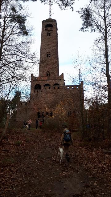 Foto: Markus Pacher