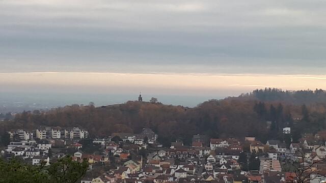 Foto: Markus Pacher