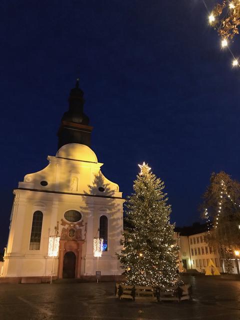 Frankenthaler Weihnachtsbaum auf dem Marktplatz