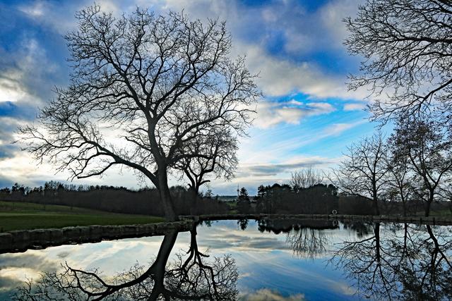 Beim Batzenhof Hohenwettersbach