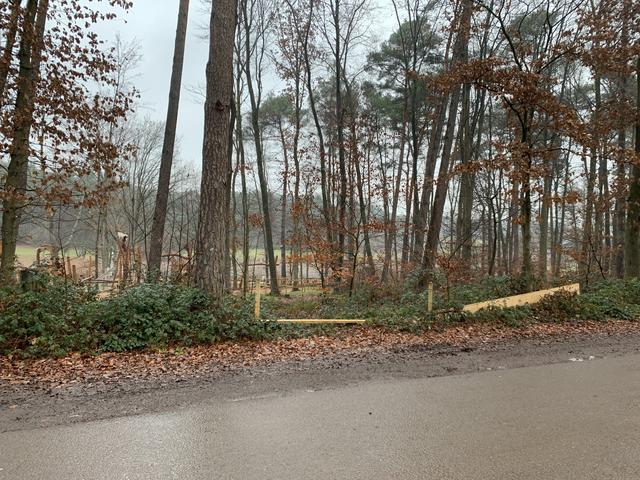 Foto: Peter Krietemeyer