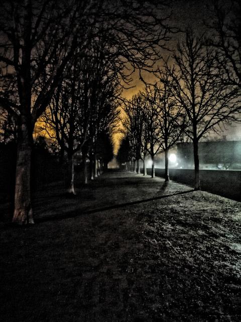 Abends im Schlossgarten | Foto: Rüdiger Lutz