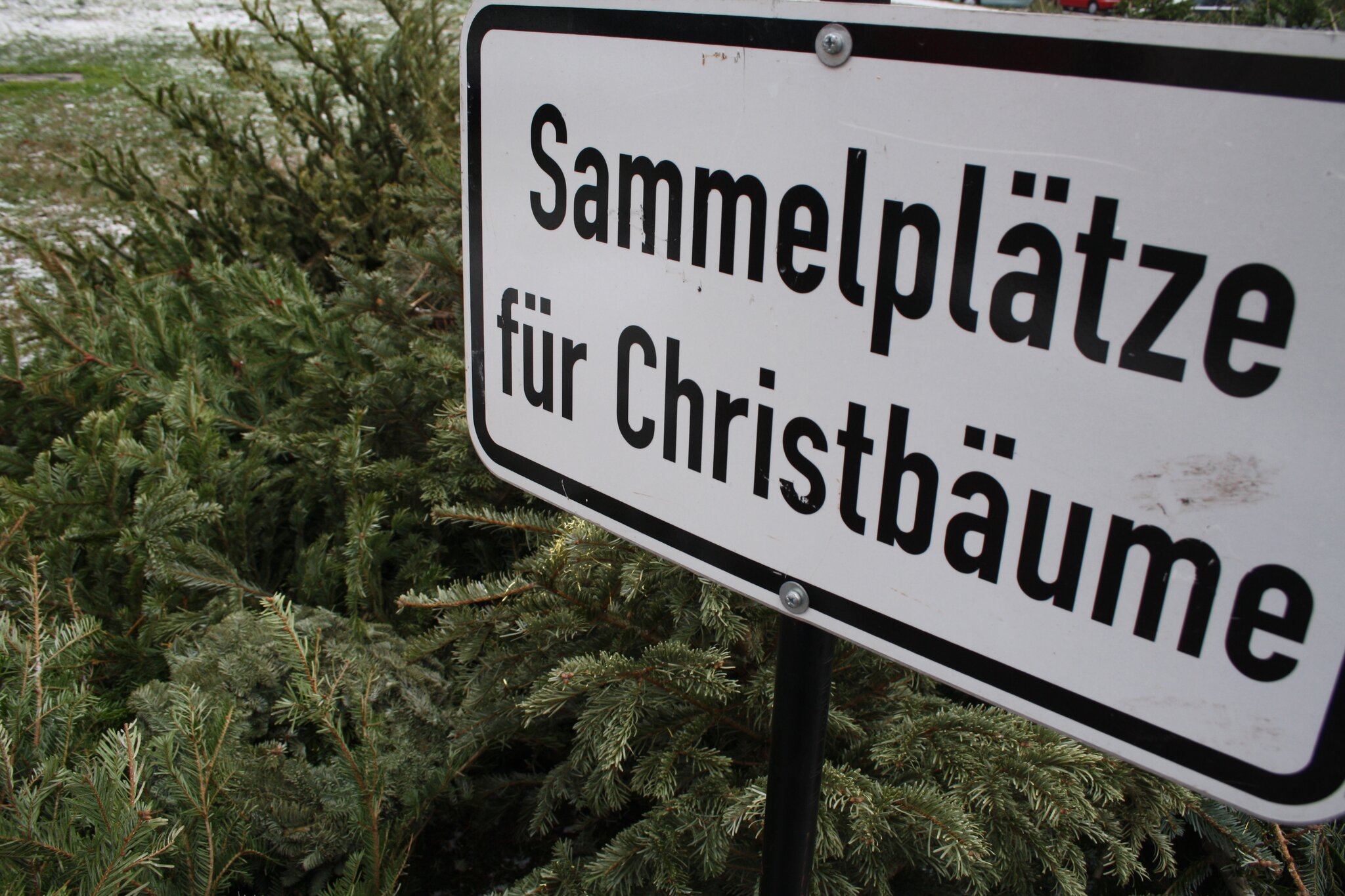 christbaumsammelplatz