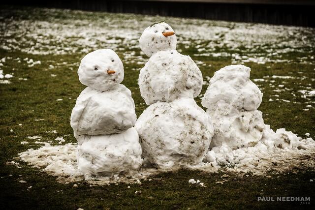 Schneemänner rund ums Schloss Gottesaue in Karlsruhe | Foto: Paul Needham