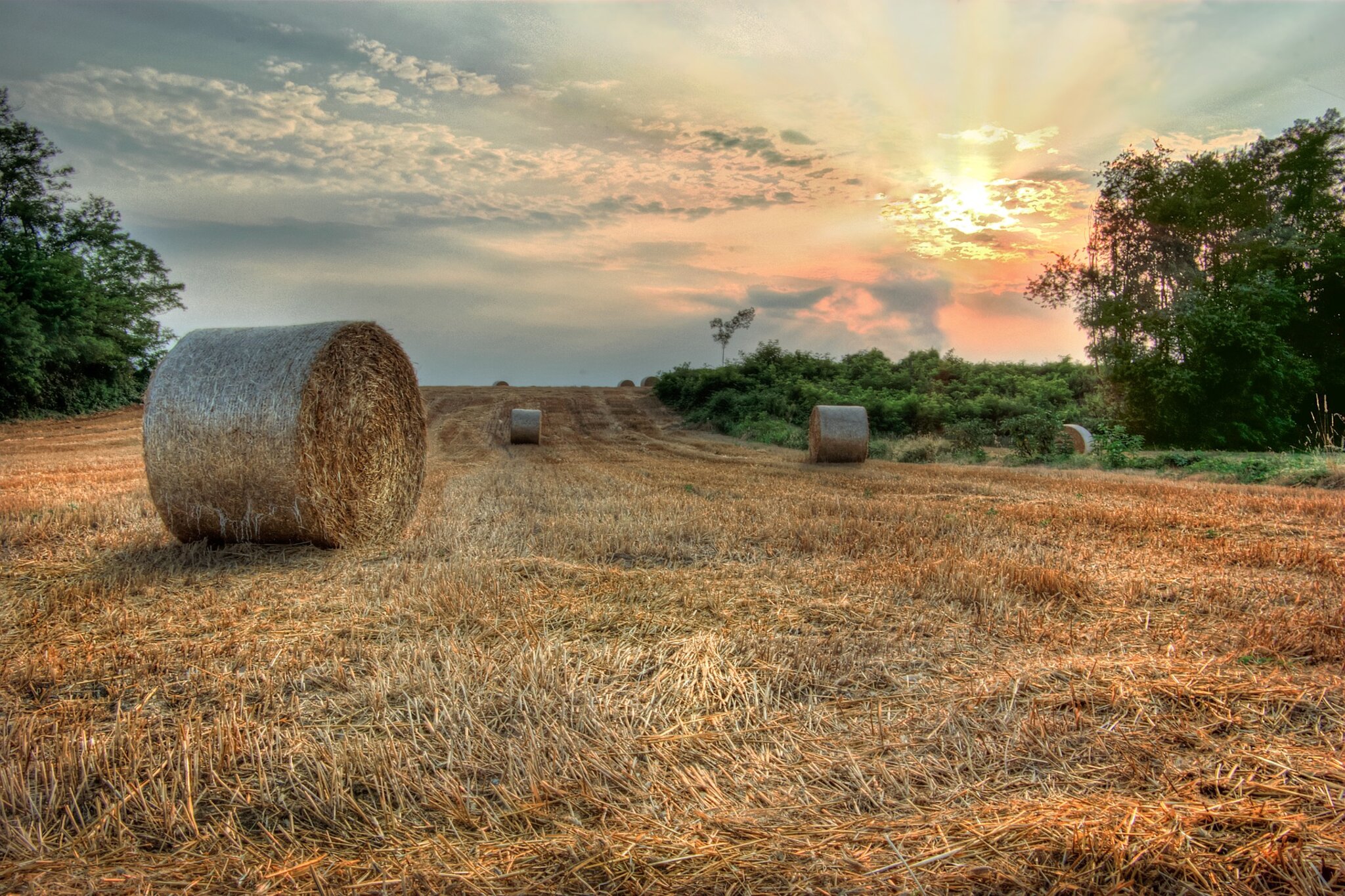 Förderung der ländlichen Entwicklung: Kreis St. Wendel kann Anträge Förderung der ländlichen Entwicklung: Kreis St. Wendel kann Anträge