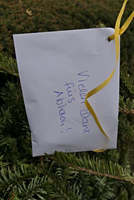 So lieb ! | Foto: Brigitte Melder