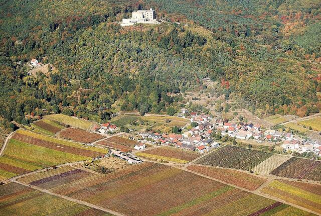 Das Hambacher Schloss oberhalb des Neustadter Ortsteiles Hambachs. | Foto: Pacher