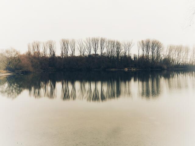 Foto: Heike Schwitalla