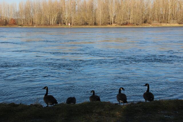 Kurz vor dem Überlaufen