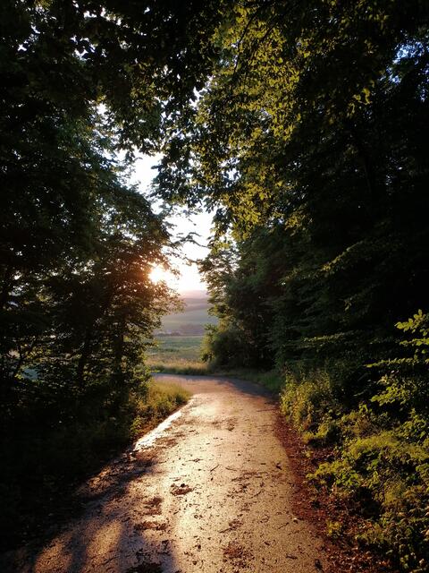 Ruppertsecken im Herbst 