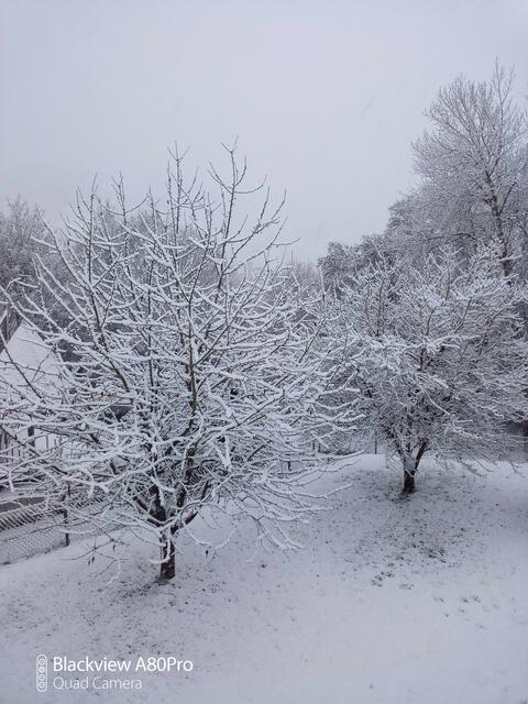 Schnee ..., die Kinder wird's freuen. ☺️ Foto: Anja Stemler
