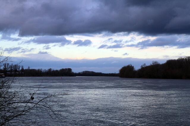 Der Rhein bei Frankenthal. Noch ist von einem Hochwasser nicht viel zu sehen. Aber die kommenden Tage werden interessant. | Foto: Gisela Böhmer