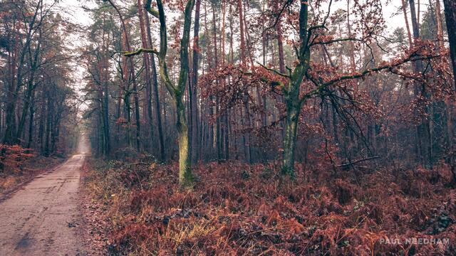 Foto: Paul Needham