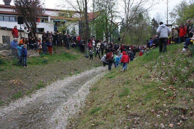 Die Bad Dürkheimer feiern die aus dem Kanal befreite Isenach. | Foto: Franz Walter Mappes