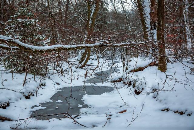Der Hoheneckermühlbach vor einigen Wochen | Foto: Ursula Engelmann