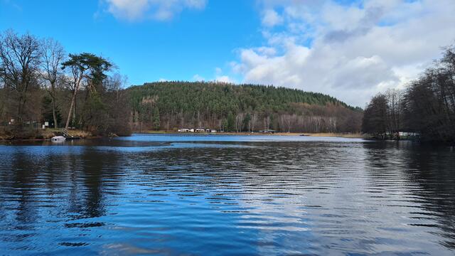Auch im Winterhalbjahr hat der Gelterswoog für Naturliebhaber einen hohen Erholungswert | Foto: Ralf Vester