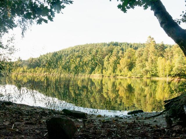 Der Gelterswoog – ein herrliches Kleinod der Natur vor den Toren von Kaiserslautern | Foto: Ursula Engelmann