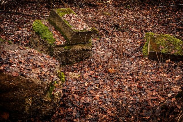Bauteile der alten Rheinbrücke auf der badischen Seite | Foto: Paul Needham