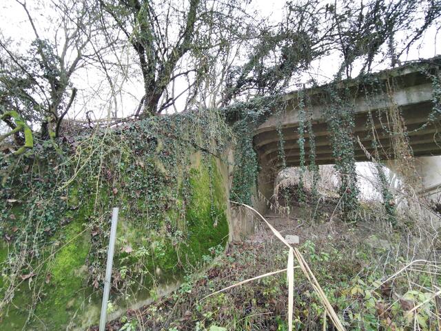 Eisenbahnbrücke bei Germersheim | Foto: Heike Schwitalla